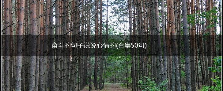 奋斗的句子说说心情的(合集50句),第1张