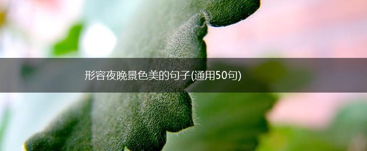 形容夜晚景色美的句子(通用50句),第1张