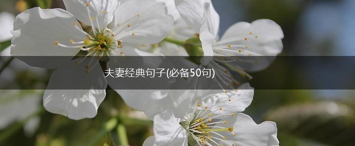 夫妻经典句子(必备50句),第1张