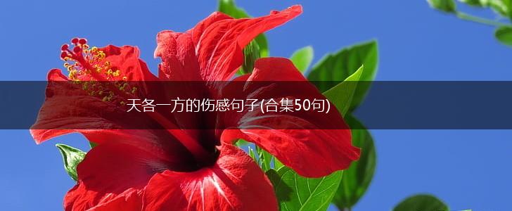 天各一方的伤感句子(合集50句),第1张