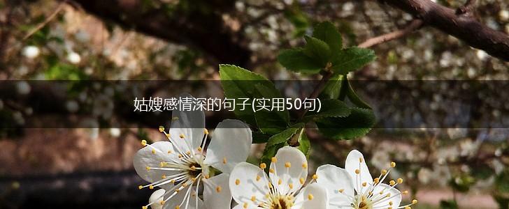 姑嫂感情深的句子(实用50句),第1张