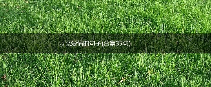 寻觅爱情的句子(合集35句),第1张