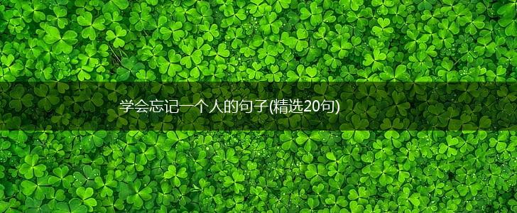 学会忘记一个人的句子(精选20句),第1张