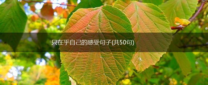 只在乎自己的感受句子(共50句),第1张