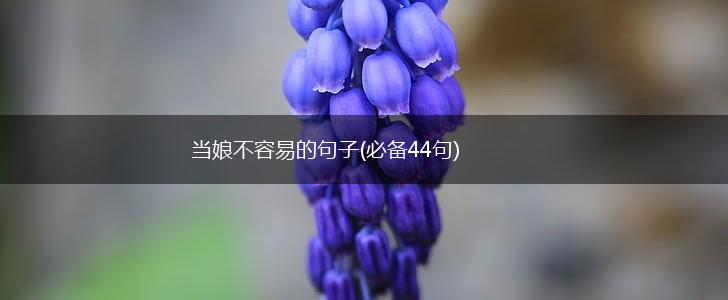 当娘不容易的句子(必备44句),第1张
