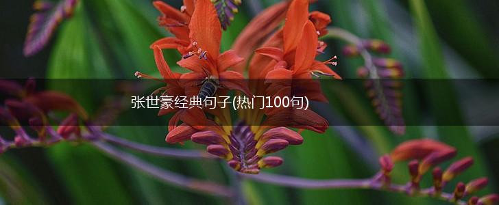 张世豪经典句子(热门100句),第1张