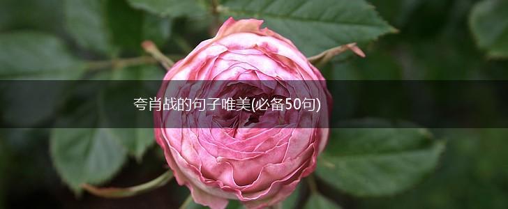夸肖战的句子唯美(必备50句),第1张