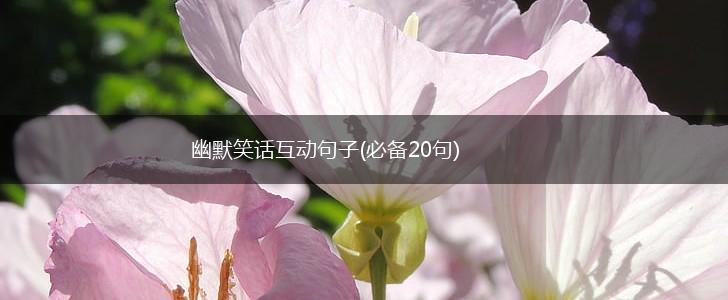 幽默笑话互动句子(必备20句),第1张