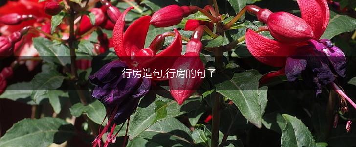 行房造句,行房的句子,第1张 行房造句,行房的句子,第1张