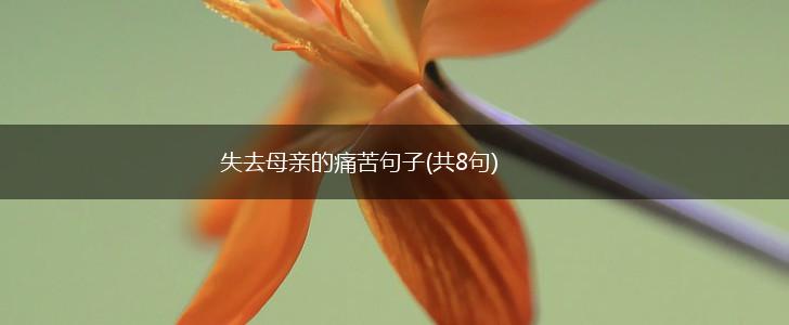 失去母亲的痛苦句子(共8句),第1张