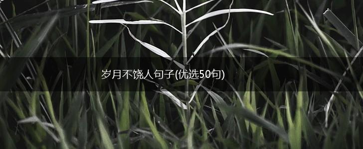 岁月不饶人句子(优选50句),第1张
