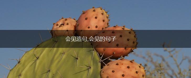 会见造句,会见的句子,第1张