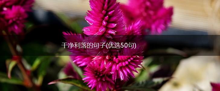 干净利落的句子(优选50句),第1张