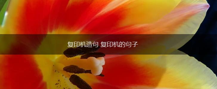 复印机造句 复印机的句子,第1张 复印机造句 复印机的句子,第1张