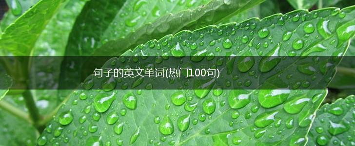 句子的英文单词(热门100句),第1张