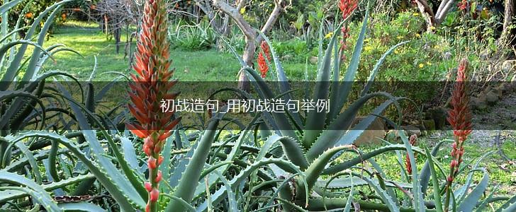 初战造句_用初战造句举例,第1张