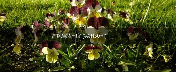 古风骂人句子(实用30句),第1张