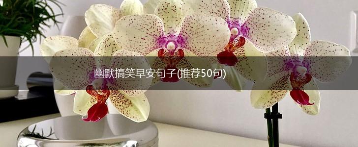 幽默搞笑早安句子(推荐50句),第1张