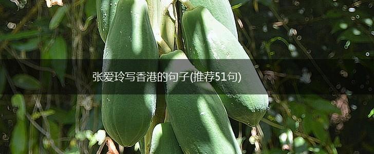 张爱玲写香港的句子(推荐51句),第1张