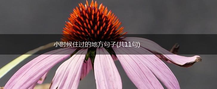 小时候住过的地方句子(共11句),第1张
