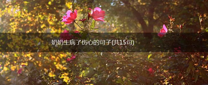 奶奶生病了伤心的句子(共15句),第1张
