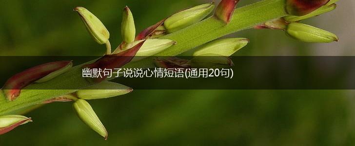 幽默句子说说心情短语(通用20句),第1张