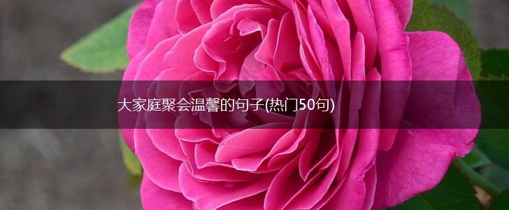 大家庭聚会温馨的句子(热门50句),第1张