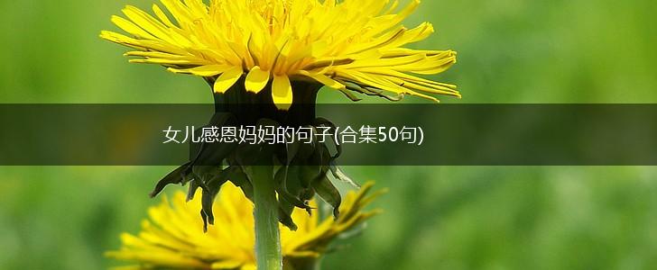 女儿感恩妈妈的句子(合集50句),第1张