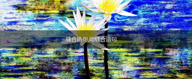 缝合造句,用缝合造句,第1张