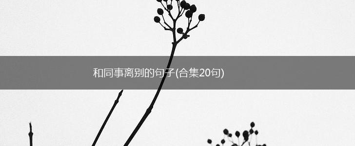 和同事离别的句子(合集20句),第1张