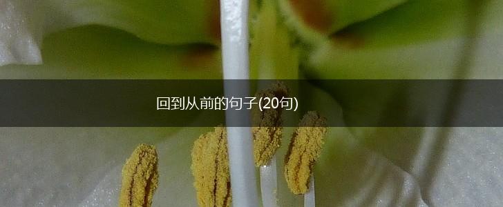 回到从前的句子(20句),第1张