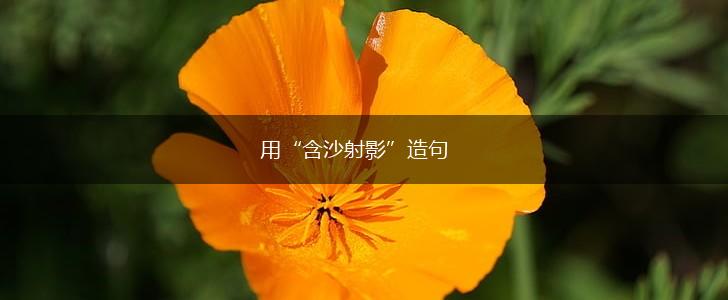 用“含沙射影”造句,第1张 用“含沙射影”造句,第1张