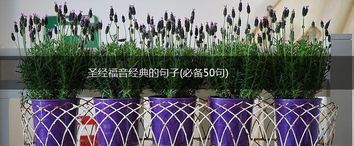 圣经福音经典的句子(必备50句),第1张