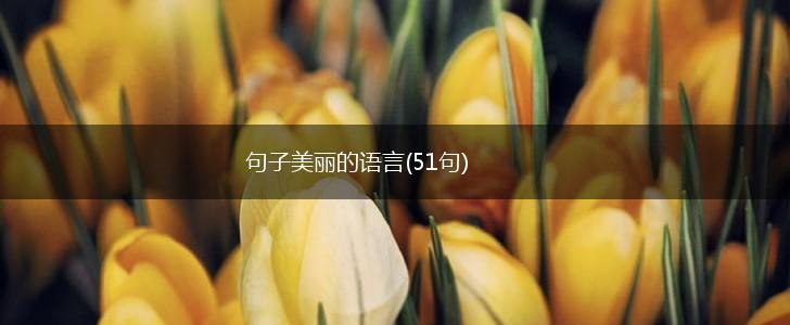 句子美丽的语言(51句),第1张