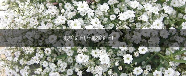 服输造句,用服输造句,第1张 服输造句,用服输造句,第1张