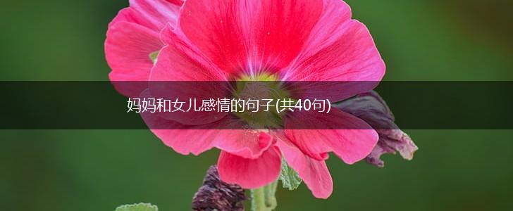 妈妈和女儿感情的句子(共40句),第1张