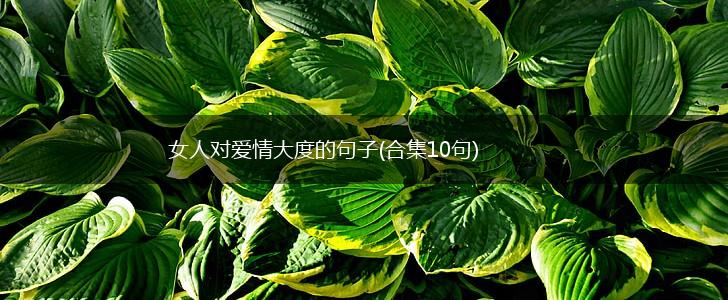 女人对爱情大度的句子(合集10句),第1张