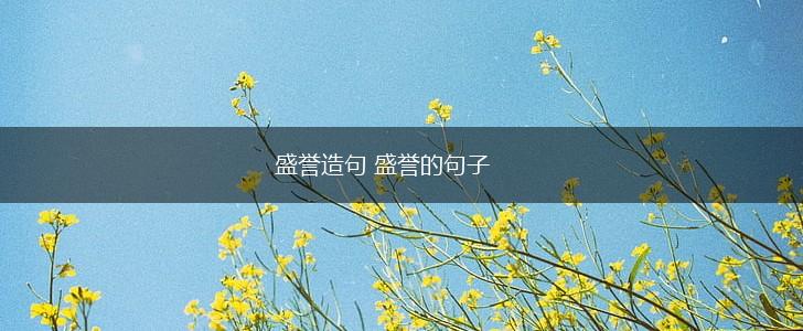 盛誉造句 盛誉的句子,第1张