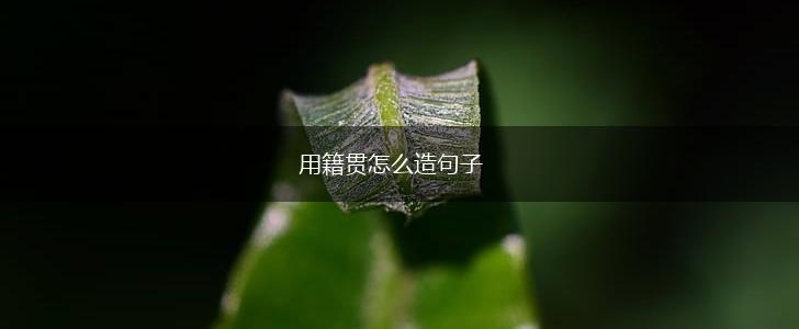 用籍贯怎么造句子,第1张 用籍贯怎么造句子,第1张