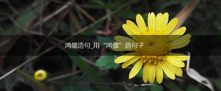 鸿儒造句_用“鸿儒”造句子,第1张