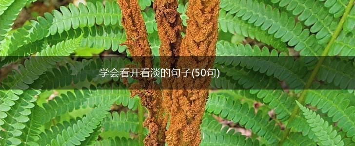 学会看开看淡的句子(50句),第1张