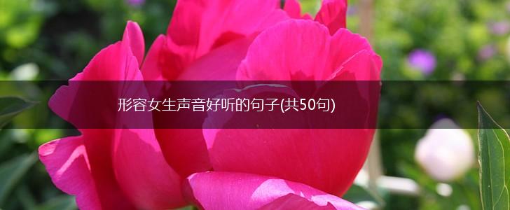 形容女生声音好听的句子(共50句),第1张
