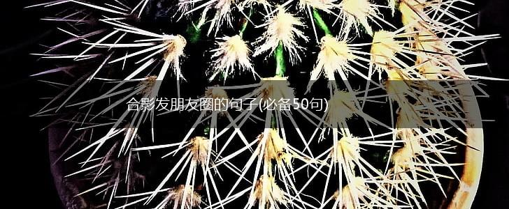 合影发朋友圈的句子(必备50句),第1张