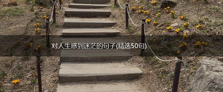 对人生感到迷茫的句子(精选50句),第1张