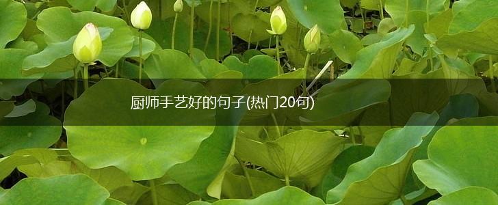 厨师手艺好的句子(热门20句),第1张