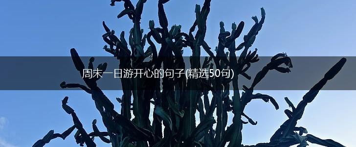 周末一日游开心的句子(精选50句),第1张
