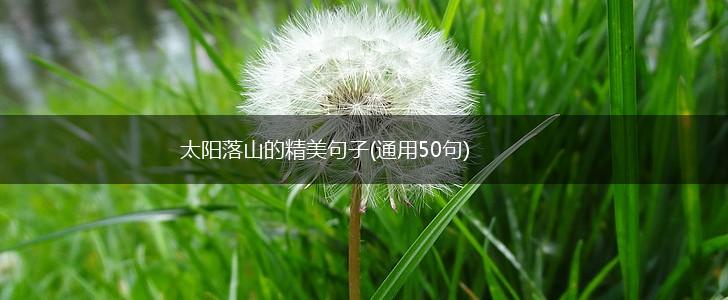 太阳落山的精美句子(通用50句),第1张