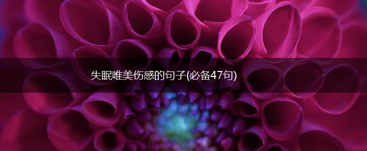 失眠唯美伤感的句子(必备47句),第1张