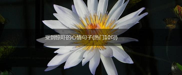 受到惊吓的心情句子(热门10句),第1张