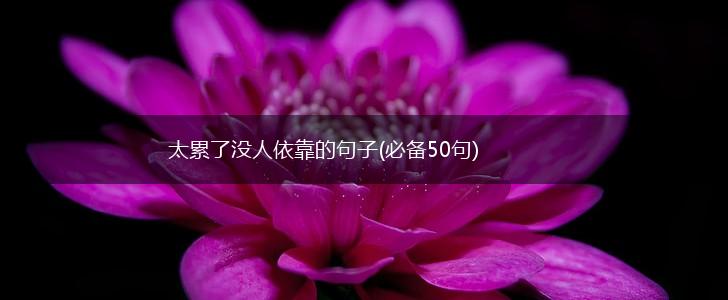 太累了没人依靠的句子(必备50句),第1张